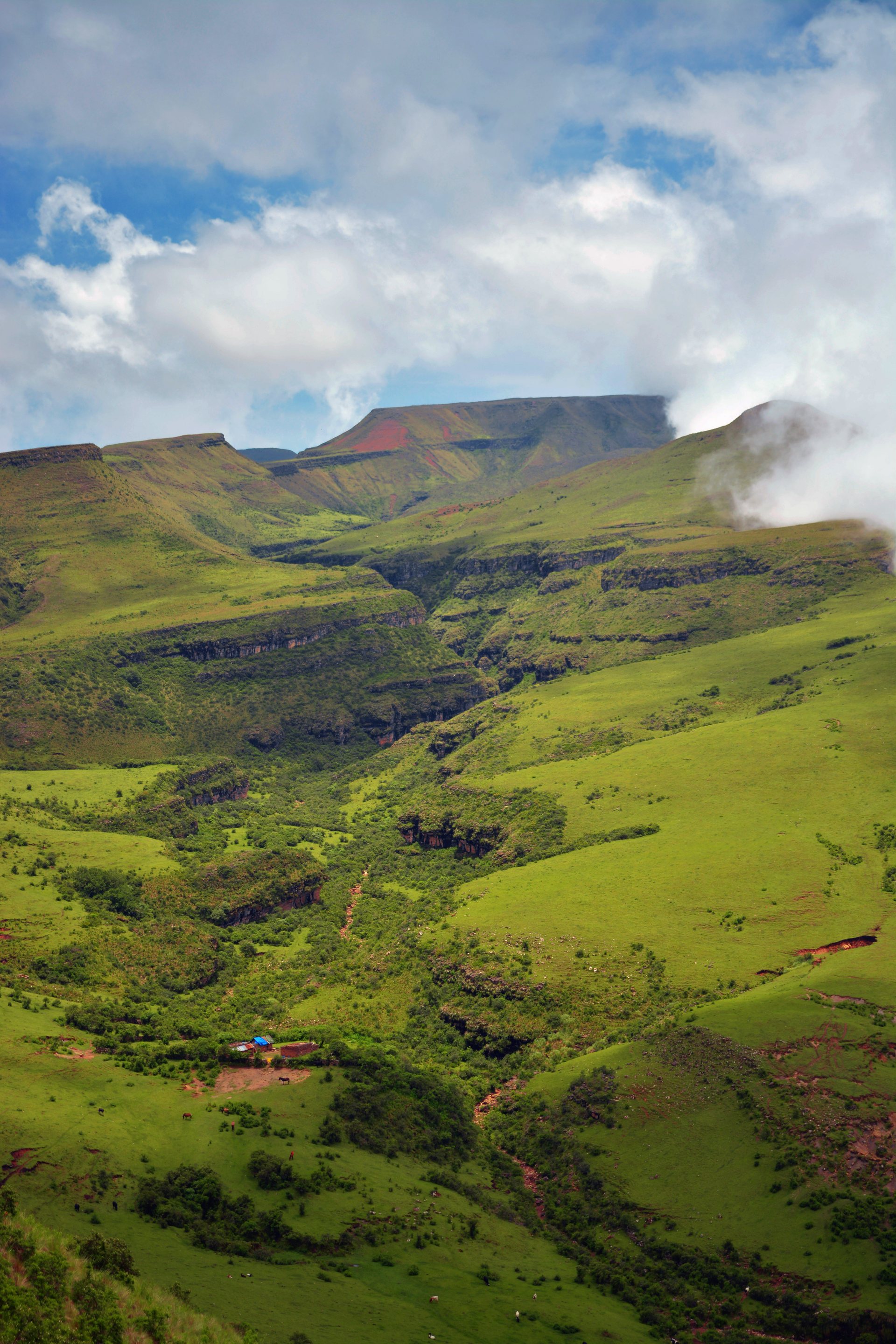 Recursos naturales y biodiversidad en las yungas de Jujuy